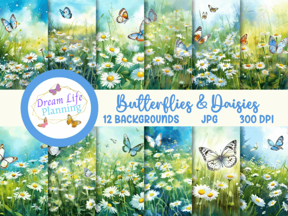 Butterflies Daisies Backgrounds