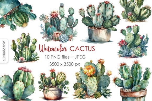 Watercolor Cactus PNG Clipart: A Versatile Resource for Creative Projects